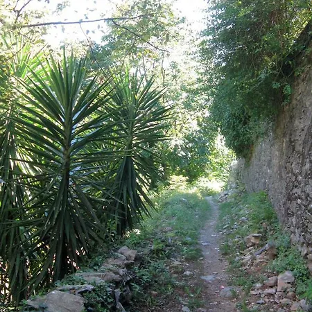 Acquarello Apartment Sori